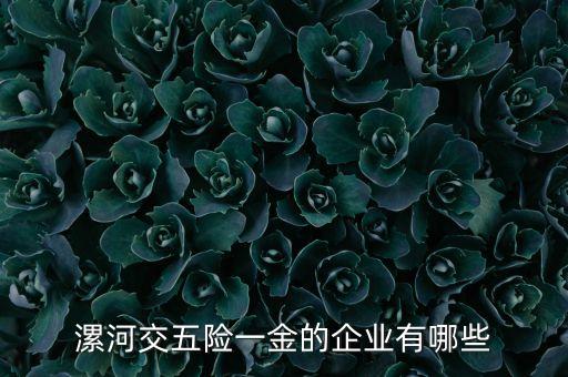舞陽銀鴿紙產有限公司,銀鴿生活紙產有限公司
