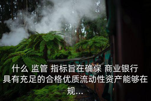 什么 監(jiān)管 指標(biāo)旨在確保 商業(yè)銀行具有充足的合格優(yōu)質(zhì)流動性資產(chǎn)能夠在規(guī)...