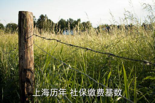 2012社保基金總額,社?；鹂傤~是什么意思