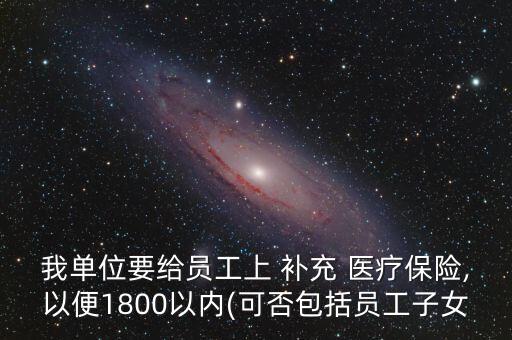 我單位要給員工上 補(bǔ)充 醫(yī)療保險(xiǎn),以便1800以?xún)?nèi)(可否包括員工子女