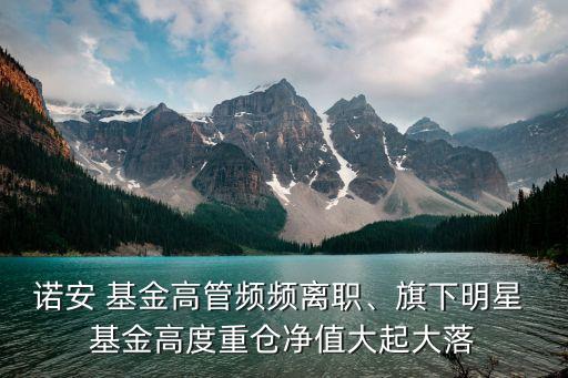 諾安 基金高管頻頻離職、旗下明星 基金高度重倉(cāng)凈值大起大落