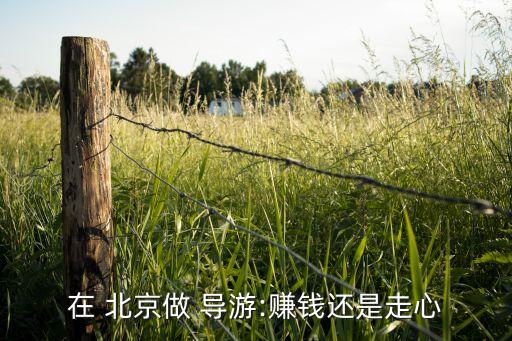 在 北京做 導(dǎo)游:賺錢還是走心