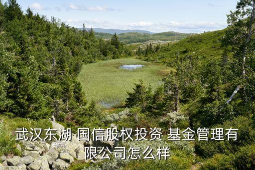 武漢東湖 國(guó)信股權(quán)投資 基金管理有限公司怎么樣