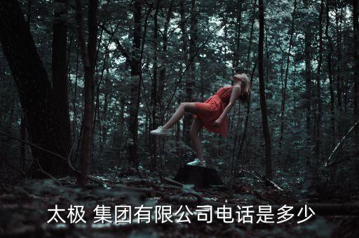  太極 集團有限公司電話是多少