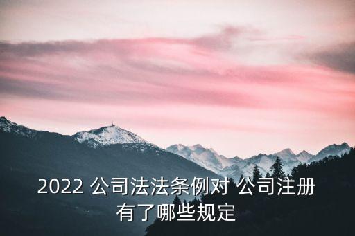 2022 公司法法條例對 公司注冊有了哪些規(guī)定