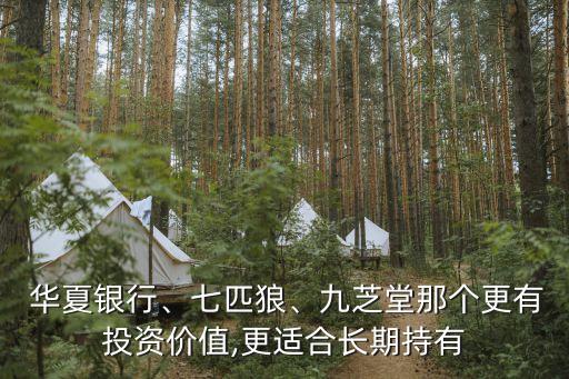  華夏銀行、七匹狼、九芝堂那個更有投資價(jià)值,更適合長期持有