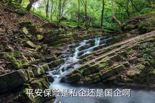  平安保險(xiǎn)是私企還是國企啊