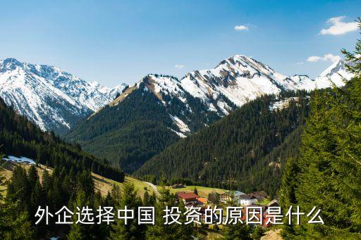 外企選擇中國 投資的原因是什么