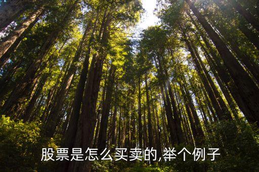 簡(jiǎn)述股票的交易過(guò)程,簡(jiǎn)述買家交易操作過(guò)程