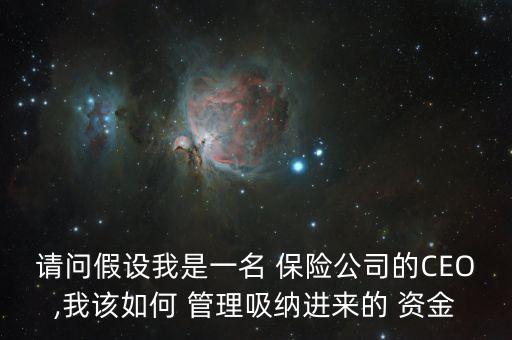 請問假設我是一名 保險公司的CEO,我該如何 管理吸納進來的 資金