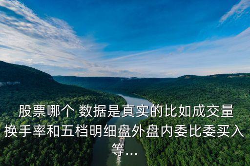  股票哪個 數(shù)據(jù)是真實的比如成交量換手率和五檔明細盤外盤內委比委買入等...