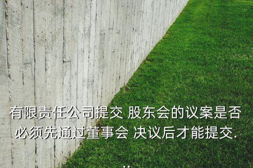 有限責(zé)任公司提交 股東會(huì)的議案是否必須先通過董事會(huì) 決議后才能提交...