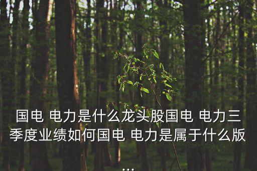 國電 電力是什么龍頭股國電 電力三季度業(yè)績?nèi)绾螄?電力是屬于什么版...