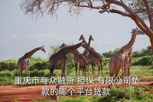  重慶市與眾融資 擔(dān)保 有限公司墊款的哪個(gè)平臺貸款