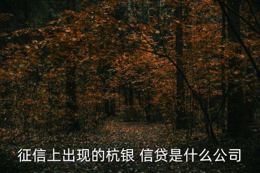 征信上出現(xiàn)的杭銀 信貸是什么公司