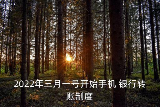 2022年三月一號(hào)開(kāi)始手機(jī) 銀行轉(zhuǎn)賬制度