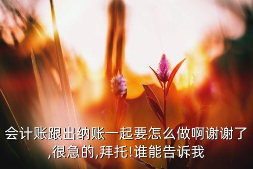 會(huì)計(jì)賬跟出納賬一起要怎么做啊謝謝了,很急的,拜托!誰(shuí)能告訴我