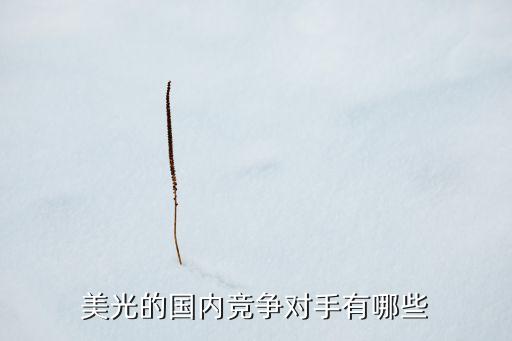 美光的國內競爭對手有哪些