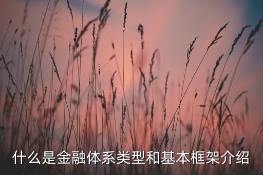 什么是金融體系類(lèi)型和基本框架介紹