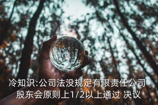 冷知識(shí):公司法沒規(guī)定有限責(zé)任公司 股東會(huì)原則上1/2以上通過 決議