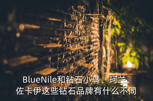 BlueNile和鉆石小鳥(niǎo)、珂蘭、佐卡伊這些鉆石品牌有什么不同