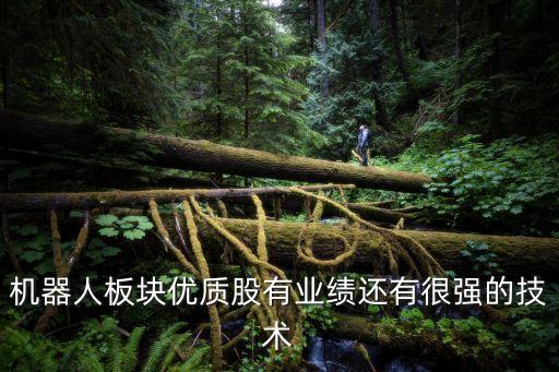 機器人板塊優(yōu)質(zhì)股有業(yè)績還有很強的技術