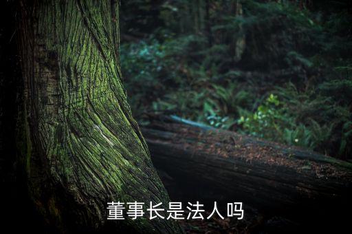 董事長是法人嗎