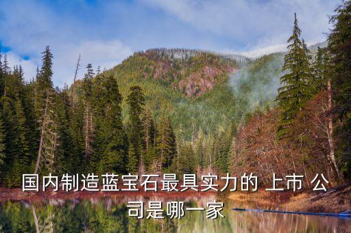 國內(nèi)制造藍寶石最具實力的 上市 公司是哪一家