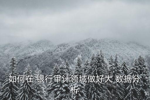 銀行的數據分析是做什么,公司數據分析具體做什么