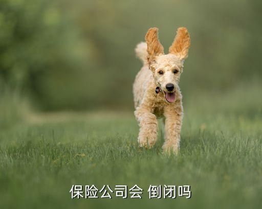 保險(xiǎn)公司會 倒閉嗎