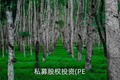 pe基金分紅,pe私募股權投資基金