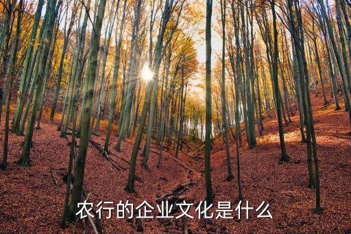 中國農(nóng)業(yè)銀行ipo案例分析
