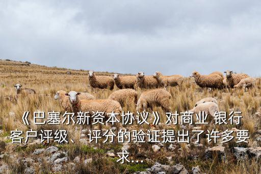 《巴塞爾新資本協(xié)議》對商業(yè) 銀行 客戶評級、 評分的驗證提出了許多要求...