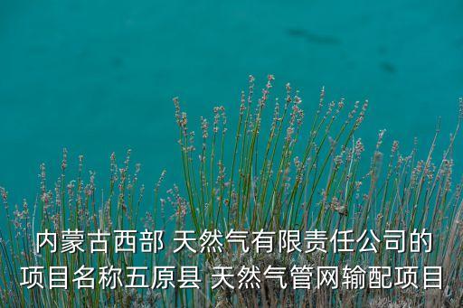  內(nèi)蒙古西部 天然氣有限責(zé)任公司的項目名稱五原縣 天然氣管網(wǎng)輸配項目