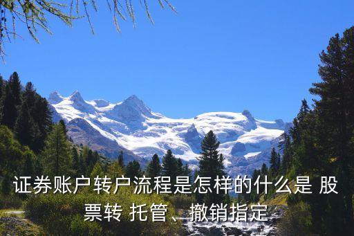 滬市股票托管,股票被托管轉(zhuǎn)出了怎么辦
