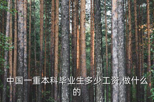 中國一重本科畢業(yè)生多少工資,做什么的