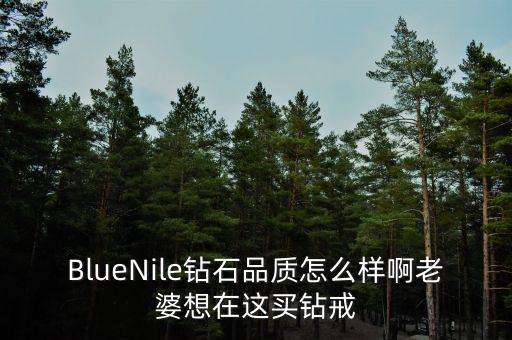 BlueNile鉆石品質(zhì)怎么樣啊老婆想在這買(mǎi)鉆戒