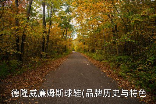 中國(guó)德隆公司發(fā)展史,萬德隆集團(tuán)發(fā)展史