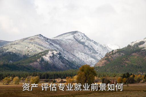 河南中聯(lián)資產評估有限公司招聘,中聯(lián)資產評估集團有限公司是國企嗎