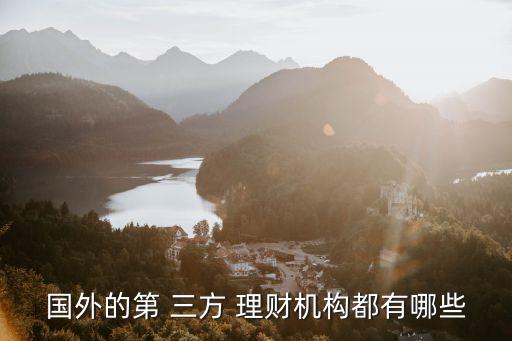 國外的第 三方 理財機(jī)構(gòu)都有哪些