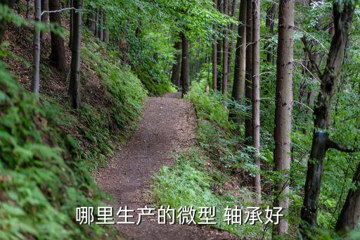 哪里生產(chǎn)的微型 軸承好