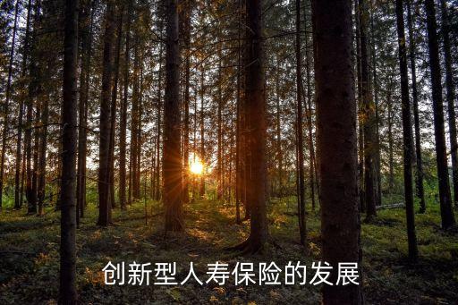  創(chuàng)新型人壽保險的發(fā)展