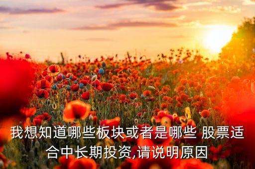 我想知道哪些板塊或者是哪些 股票適合中長(zhǎng)期投資,請(qǐng)說明原因