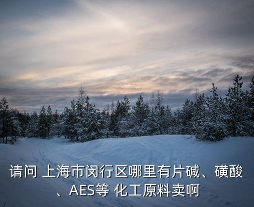請問 上海市閔行區(qū)哪里有片堿、磺酸、AES等 化工原料賣啊