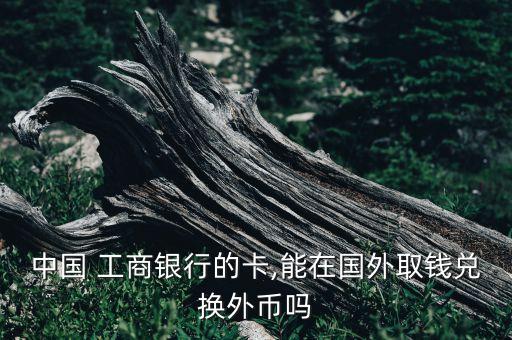 中國(guó) 工商銀行的卡,能在國(guó)外取錢(qián)兌換外幣嗎