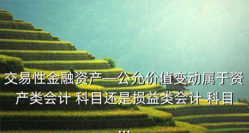 交易性金融資產(chǎn)—公允價(jià)值變動屬于資產(chǎn)類會計(jì) 科目還是損益類會計(jì) 科目...