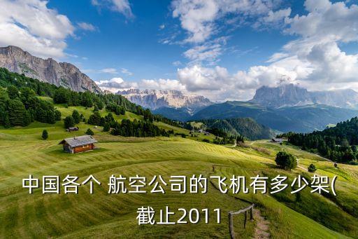 中國各個(gè) 航空公司的飛機(jī)有多少架(截止2011
