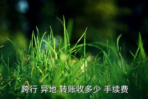 跨行 異地 轉(zhuǎn)賬收多少 手續(xù)費(fèi)