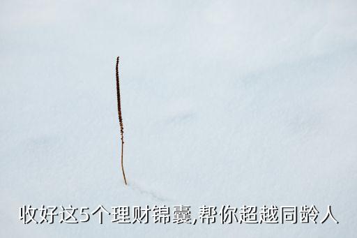 收好這5個理財(cái)錦囊,幫你超越同齡人