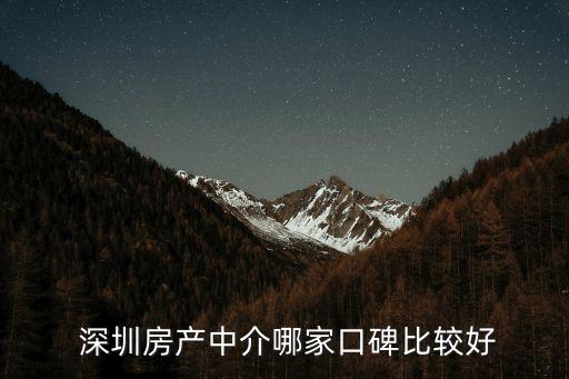 中房集團深圳,李千紅中房集團深圳